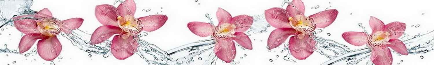 F-019 Скинали розовые орхидеи в струях воды