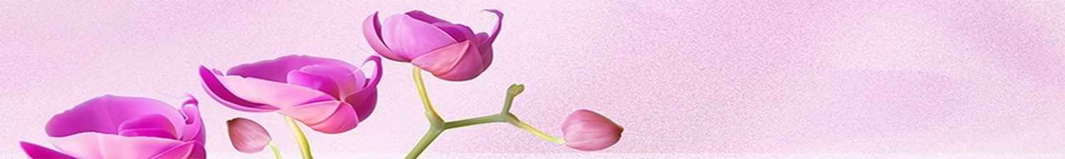 F-028 Скинали розовая орхидея на розовом фоне
