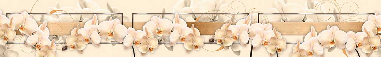 F-1505 Скинали коллаж с кремовыми орхидеями