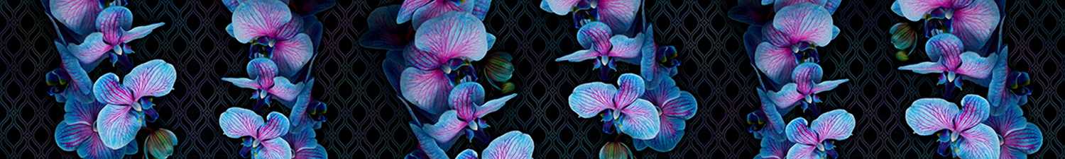 F-1697 Скинали голубые орхидеи на абстрактном фоне