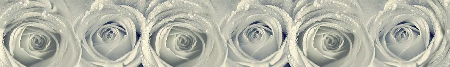F-1726 Скинали белые розы в каплях воды