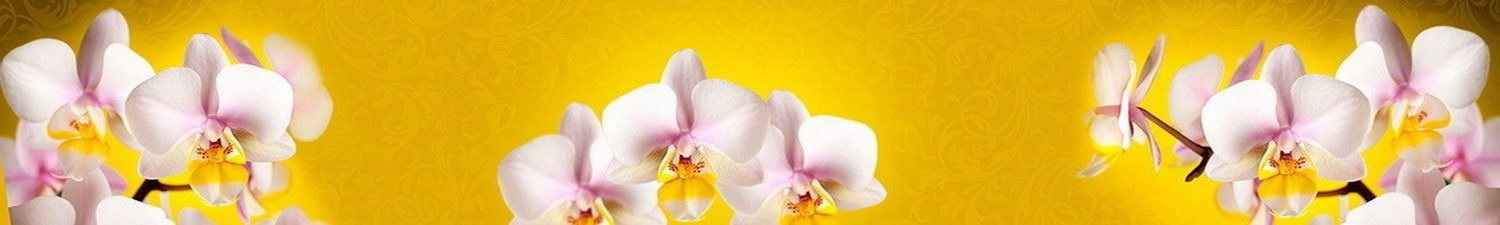 F-426 Скинали розовые орхидеи на желтом фоне