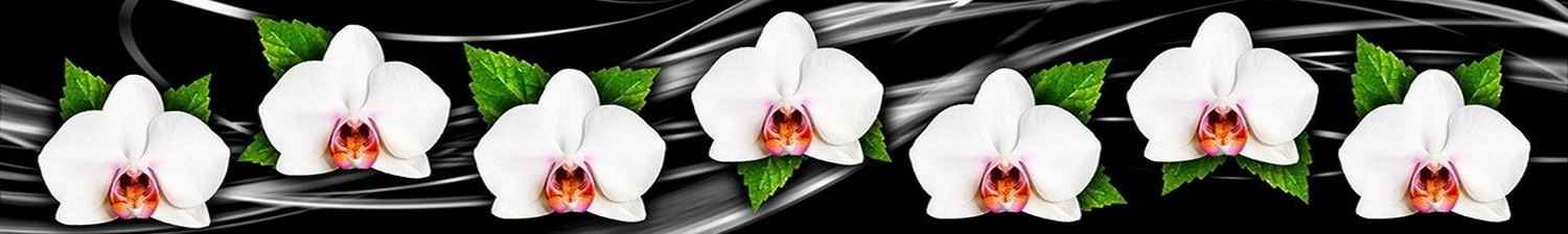 F-443 Скинали белые орхидеи на фоне черной волны
