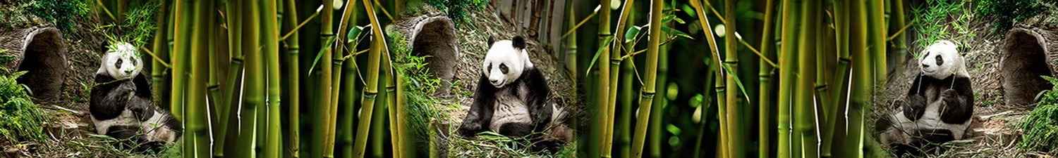 N-061 Скинали панды и бамбук