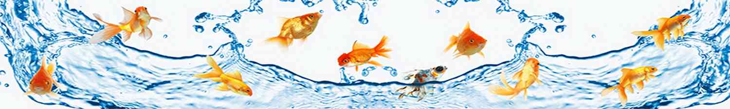 D-004 Скинали золотые рыбки во всплесках воды