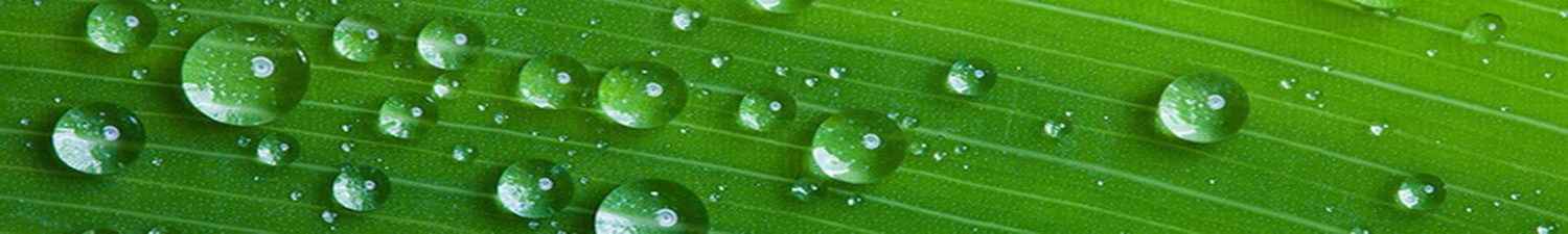 L-007 Скинали капли воды на зеленом листе