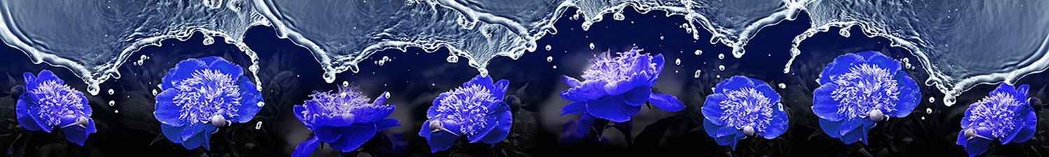 L-074 Скинали коллаж синие цветы в воде
