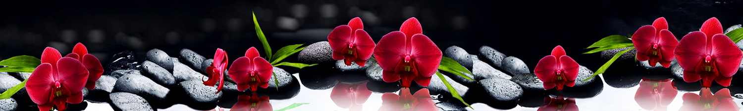AN-0069 Скинали красные орхидеи и черные камни дзен