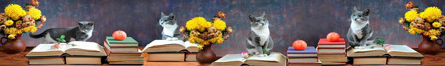 AN-0115 Скинали коллаж цветы книги и коты