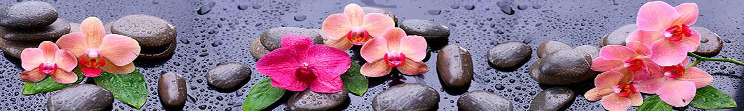 AN-0251 Скинали орхидеи на камнях дзен