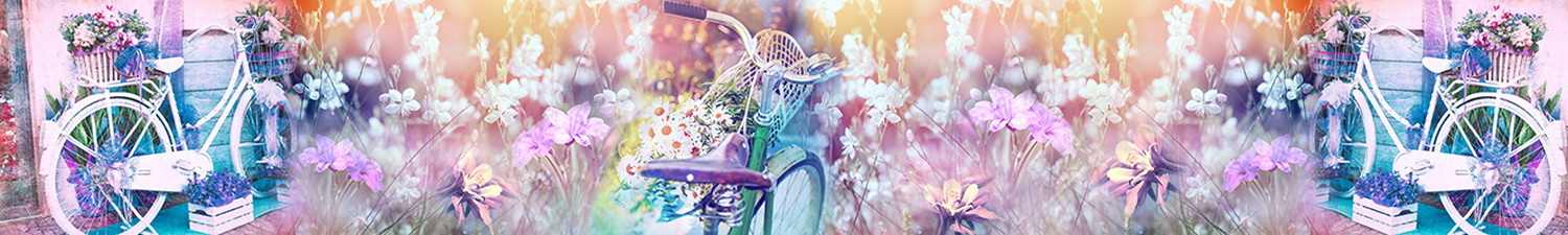 AN-0434 Скинали коллаж полевые цветы и велосипеды
