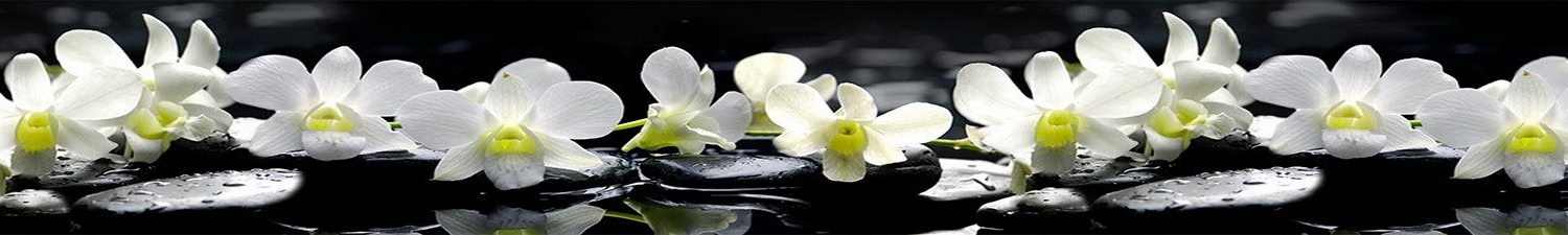 AN-0790 Скинали белые орхидеи на черных камнях