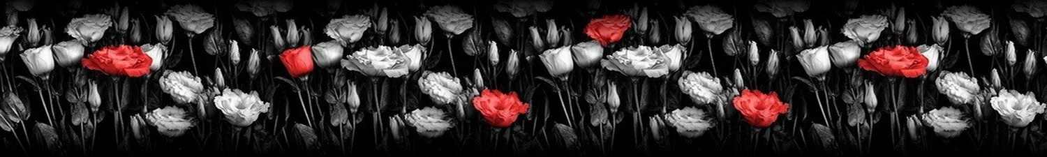 AN-1137 Скинали коллаж черно белые и красные розы