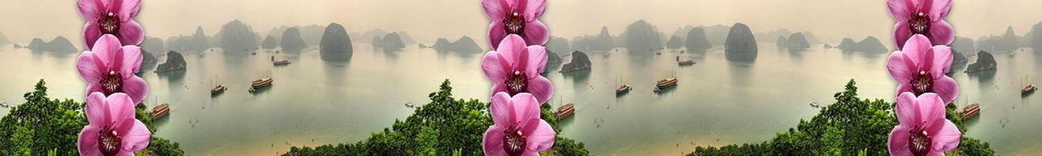 AN-1341 Скинали розовые орхидеи на фоне реки
