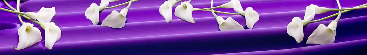 AN-1578 Скинали белые каллы на фиолетовой ткани