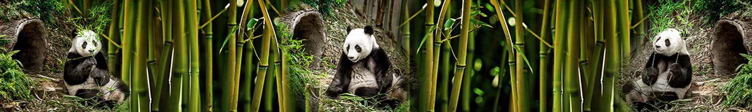 AN-1806 Скинали панды и бамбук