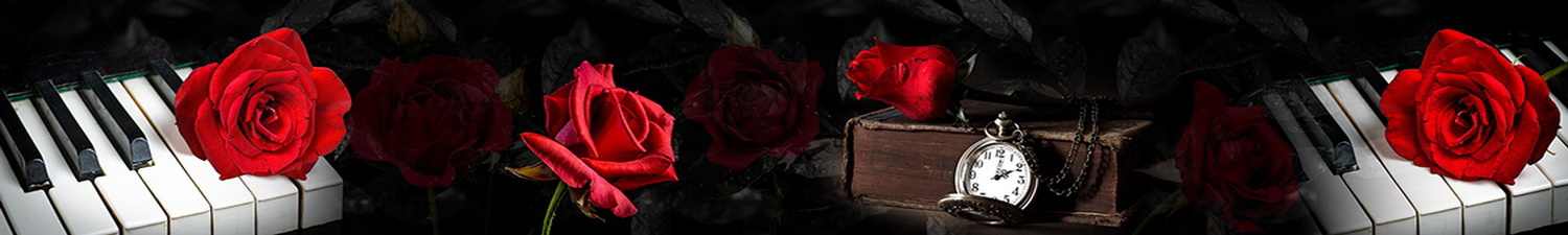 AN-1824 Скинали ретро коллаж с красными розами