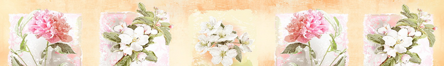 AN-3329 Скинали коллаж садовые цветы рисунок