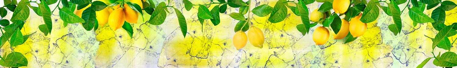 AN-3500 Скинали лимоны на абстрактном фоне