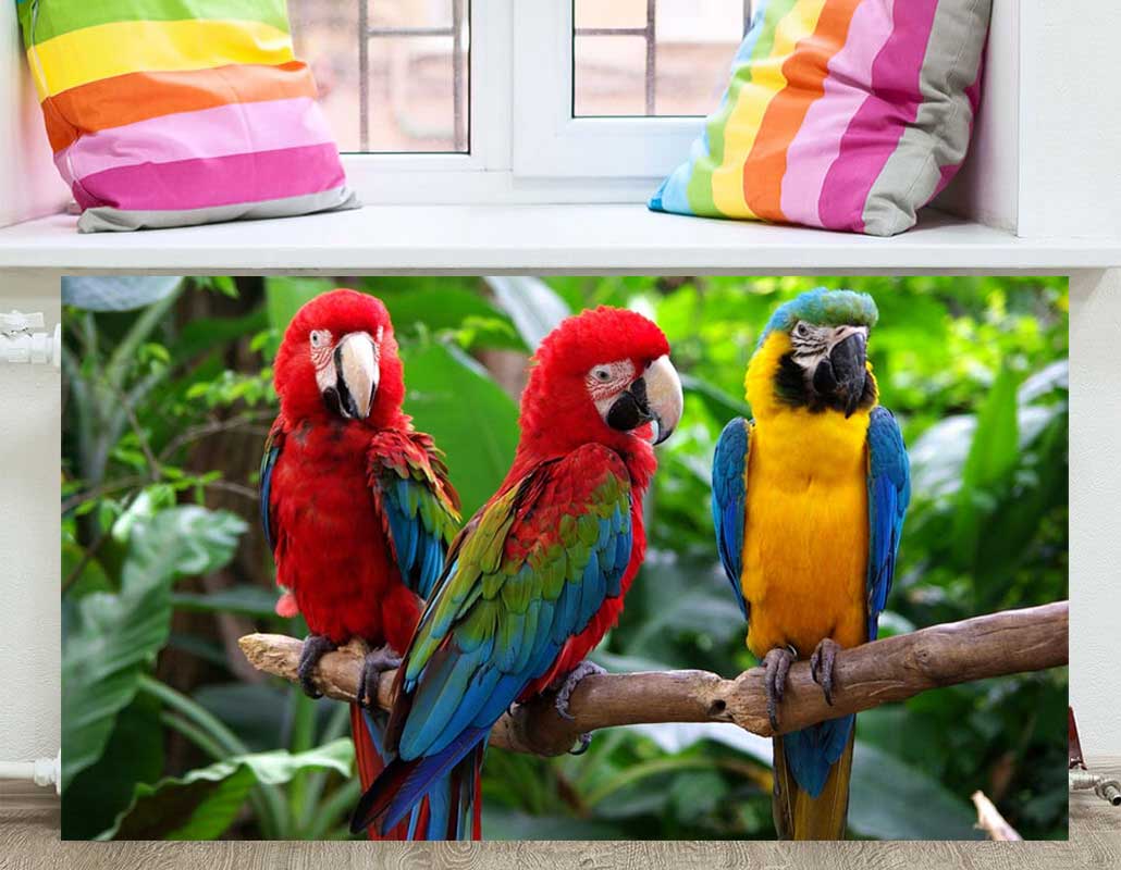 EN-027 Экран разноцветные попугаи