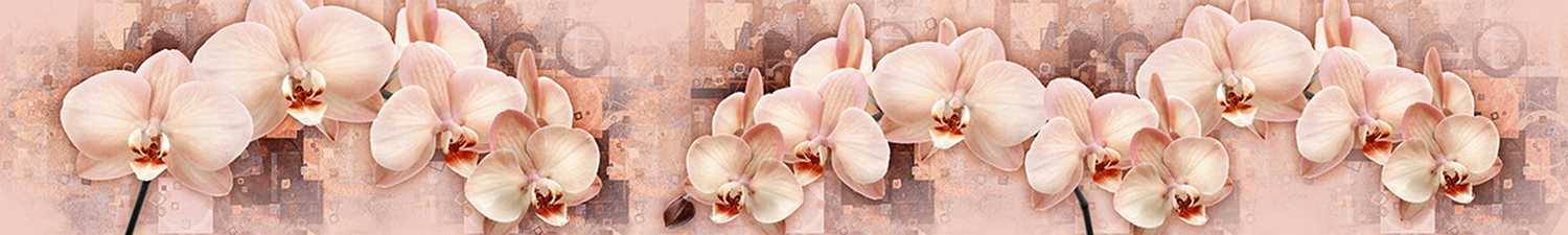 U-2482 Скинали орхидеи на абстрактном фоне
