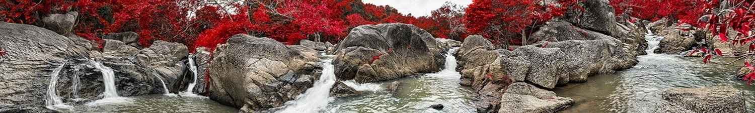 W-125 Скинали горный водопад и красные деревья